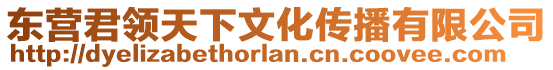 東營君領(lǐng)天下文化傳播有限公司