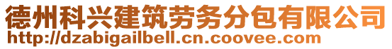 德州科興建筑勞務分包有限公司