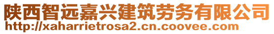 陜西智遠嘉興建筑勞務有限公司