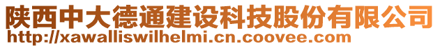 陜西中大德通建設(shè)科技股份有限公司