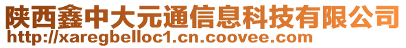 陜西鑫中大元通信息科技有限公司