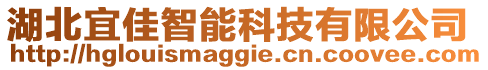 湖北宜佳智能科技有限公司