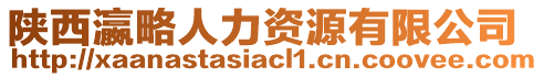 陜西瀛略人力資源有限公司