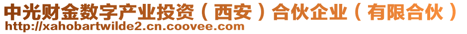 中光財(cái)金數(shù)字產(chǎn)業(yè)投資（西安）合伙企業(yè)（有限合伙）