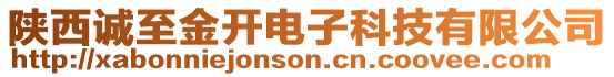 陜西誠至金開電子科技有限公司