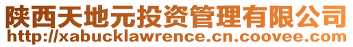 陜西天地元投資管理有限公司