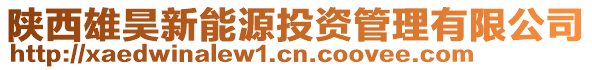 陜西雄昊新能源投資管理有限公司