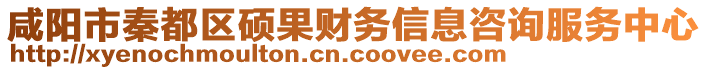 咸陽市秦都區(qū)碩果財務信息咨詢服務中心