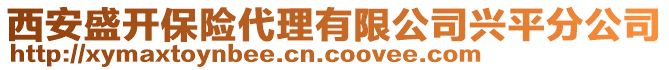 西安盛开保险代理有限公司兴平分公司