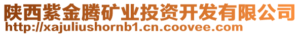 陜西紫金騰礦業(yè)投資開發(fā)有限公司