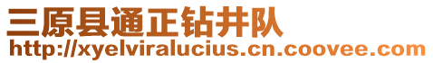 三原縣通正鉆井隊