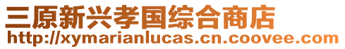 三原新興孝國綜合商店