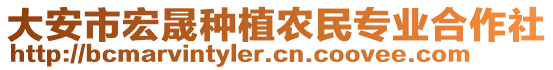 大安市宏晟種植農(nóng)民專業(yè)合作社