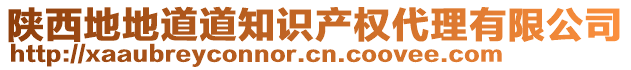 陜西地地道道知識(shí)產(chǎn)權(quán)代理有限公司