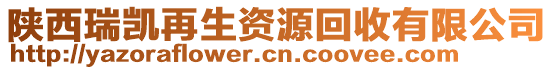 陜西瑞凱再生資源回收有限公司