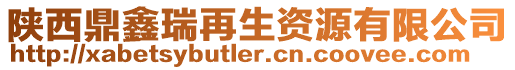 陜西鼎鑫瑞再生資源有限公司