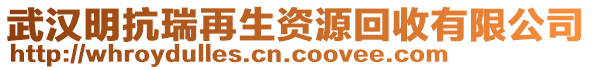 武漢明抗瑞再生資源回收有限公司