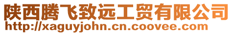 陜西騰飛致遠(yuǎn)工貿(mào)有限公司