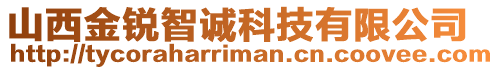 山西金銳智誠科技有限公司