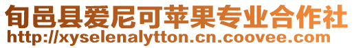 旬邑縣愛(ài)尼可蘋(píng)果專業(yè)合作社