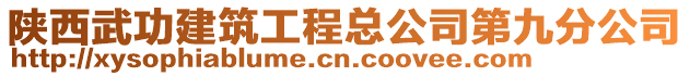 陜西武功建筑工程總公司第九分公司