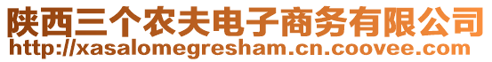 陜西三個農(nóng)夫電子商務(wù)有限公司