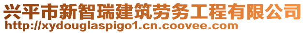 興平市新智瑞建筑勞務(wù)工程有限公司