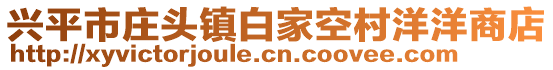 興平市莊頭鎮(zhèn)白家空村洋洋商店