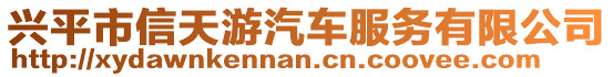 興平市信天游汽車服務有限公司