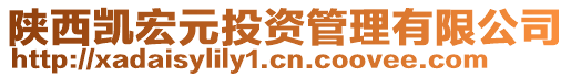 陜西凱宏元投資管理有限公司