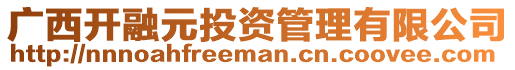 廣西開融元投資管理有限公司