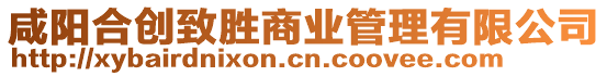 咸陽(yáng)合創(chuàng)致勝商業(yè)管理有限公司