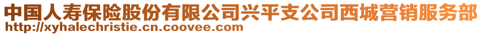 中國人壽保險股份有限公司興平支公司西城營銷服務(wù)部