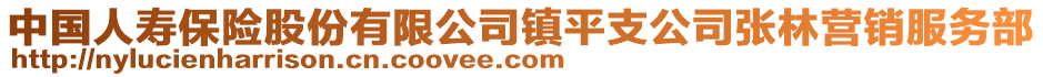 中国人寿保险股份有限公司镇平支公司张林营销服务部