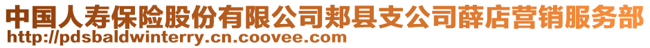 中國人壽保險股份有限公司郟縣支公司薛店?duì)I銷服務(wù)部