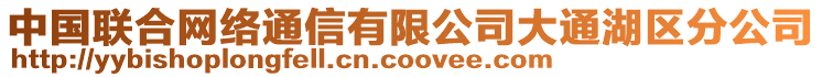 中國(guó)聯(lián)合網(wǎng)絡(luò)通信有限公司大通湖區(qū)分公司