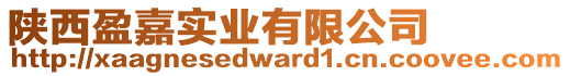 陜西盈嘉實業(yè)有限公司