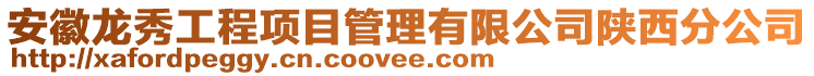 安徽龍秀工程項目管理有限公司陜西分公司