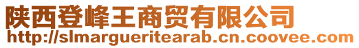 陜西登峰王商貿(mào)有限公司