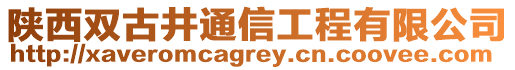 陜西雙古井通信工程有限公司