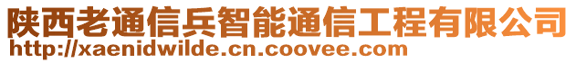 陜西老通信兵智能通信工程有限公司