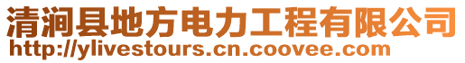 清澗縣地方電力工程有限公司