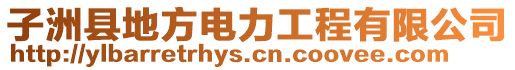 子洲縣地方電力工程有限公司