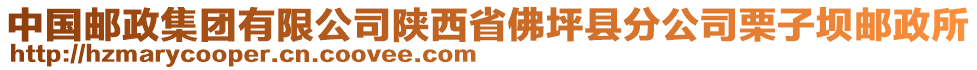 中國郵政集團有限公司陜西省佛坪縣分公司栗子壩郵政所