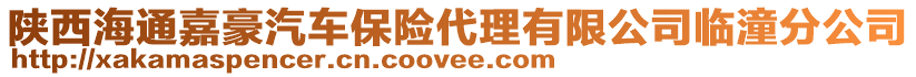 陜西海通嘉豪汽車保險代理有限公司臨潼分公司