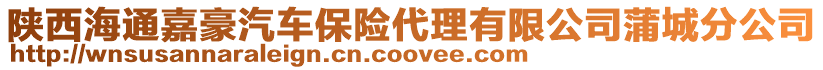 陜西海通嘉豪汽車保險代理有限公司蒲城分公司