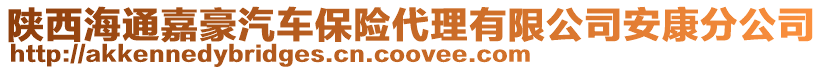 陜西海通嘉豪汽車保險代理有限公司安康分公司