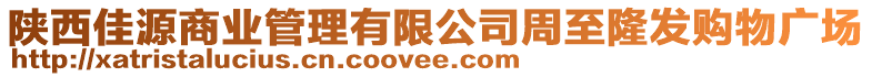 陜西佳源商業(yè)管理有限公司周至隆發(fā)購物廣場