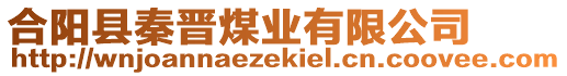 合陽縣秦晉煤業(yè)有限公司