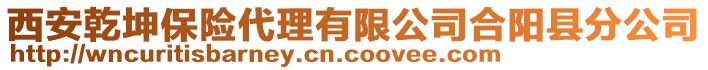 西安乾坤保險代理有限公司合陽縣分公司